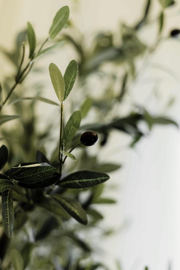 Апартаменти Olive Koukaki Афіни Екстер'єр фото